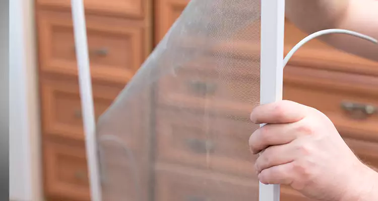 Privacy Mesh Screen Door Installation in Palm Coast, FL